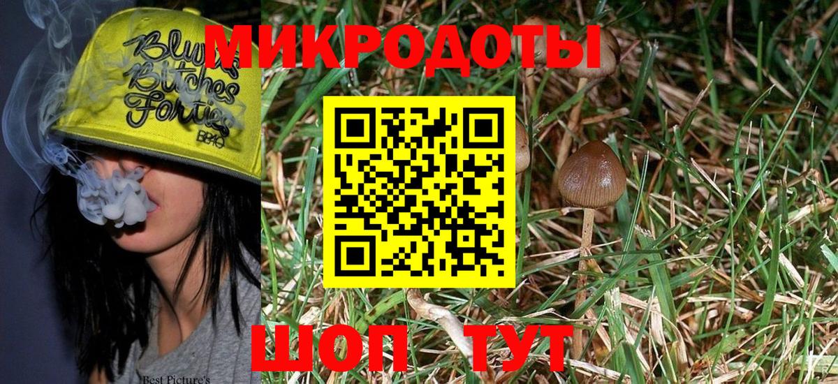 Первоуральск  Псилоцибиновые грибы MAGIC MUSHROOMS  Вход с VPN 